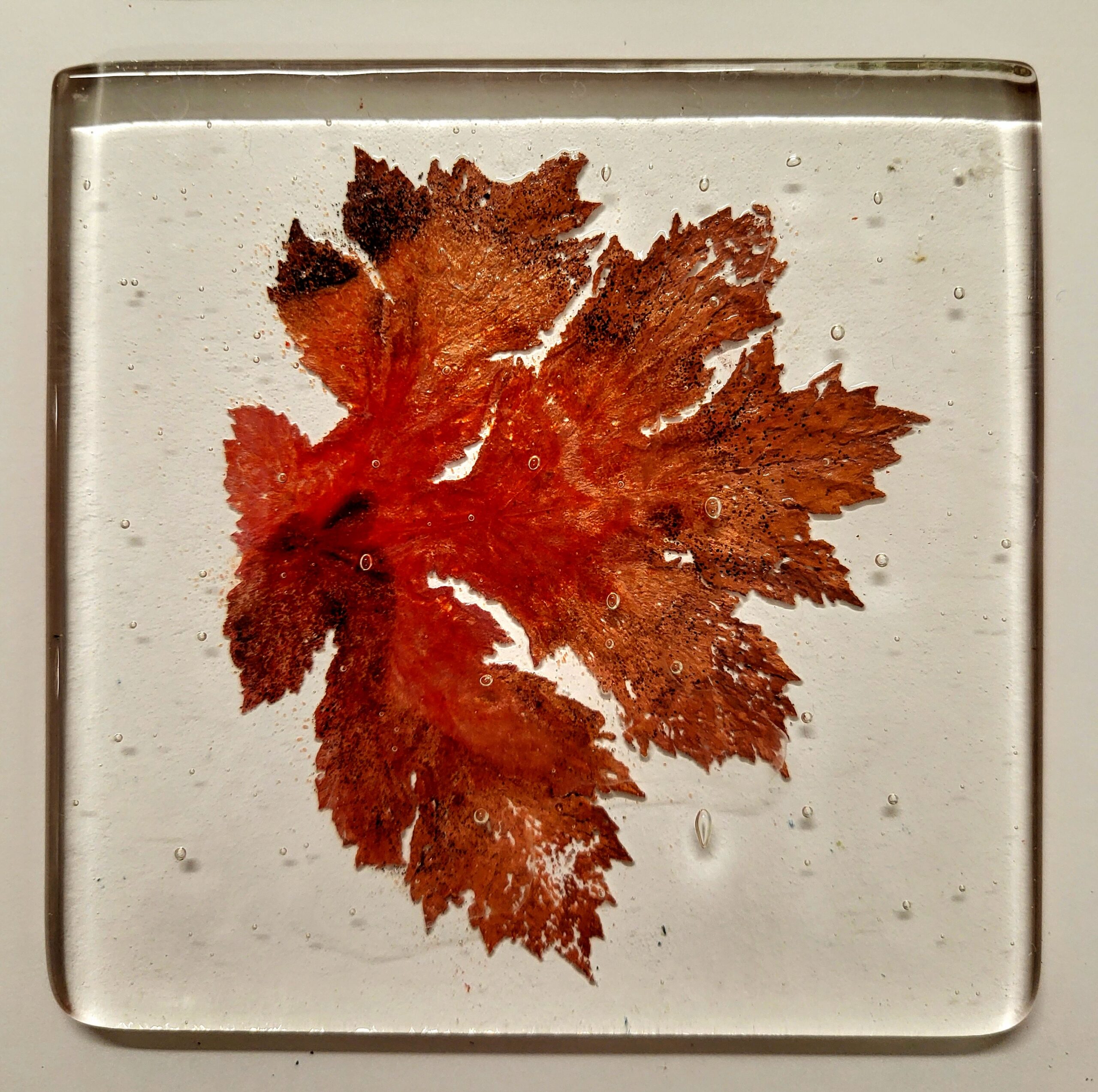 Autumn Forest Lantern - Image 4
