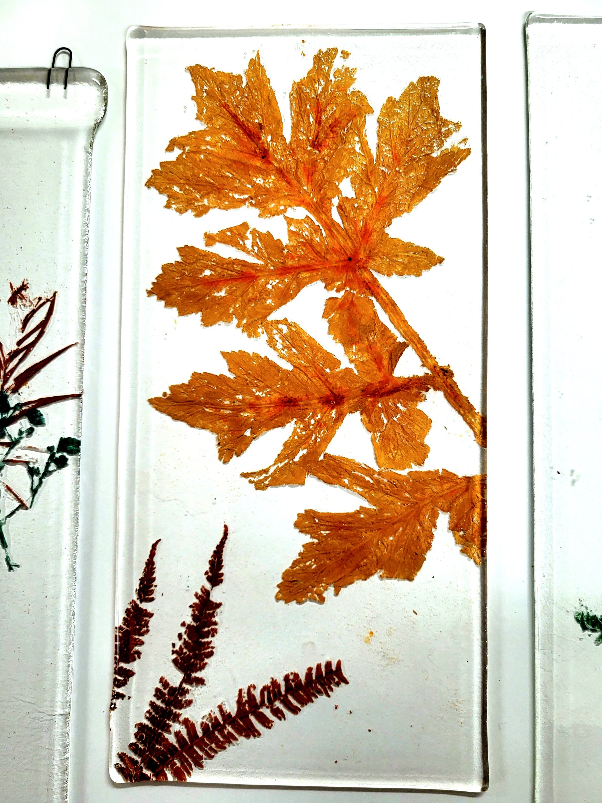 Autumn Forest Lantern - Image 5